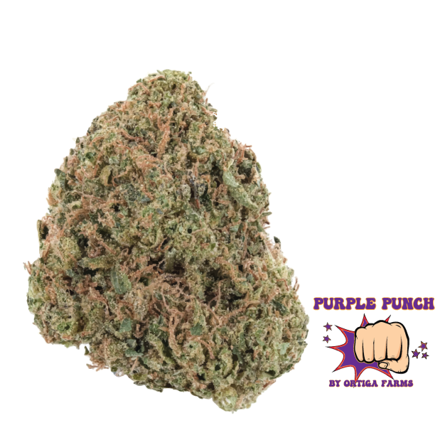 Purple Punch THCa Flower