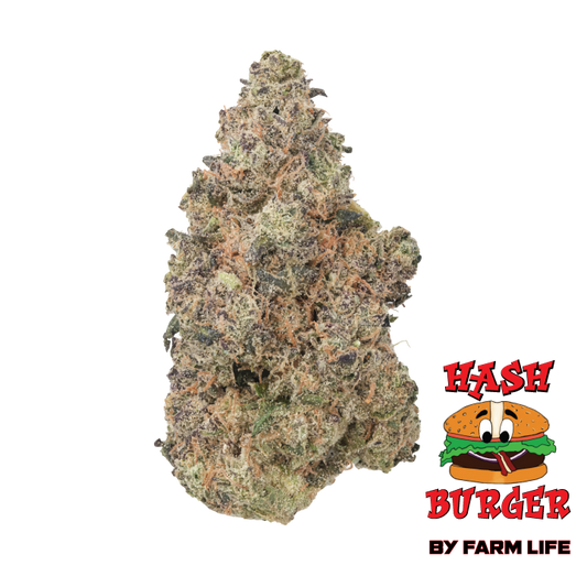 HashBurger THCa Flower
