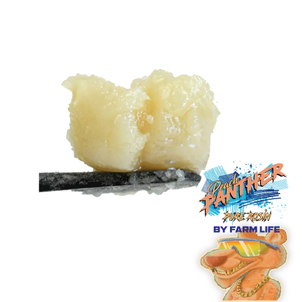 Peach Panther Live Rosin