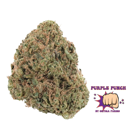Purple Punch THCA Flower