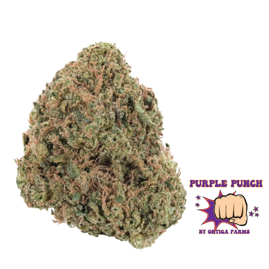 Purple Punch THCa Flower